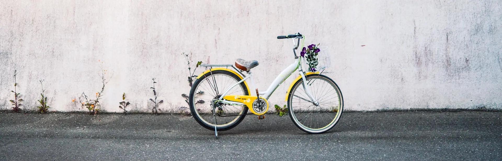 header vrouw op fiets